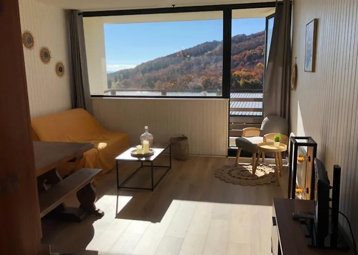 Logement Charmant Au Coeur De La Station